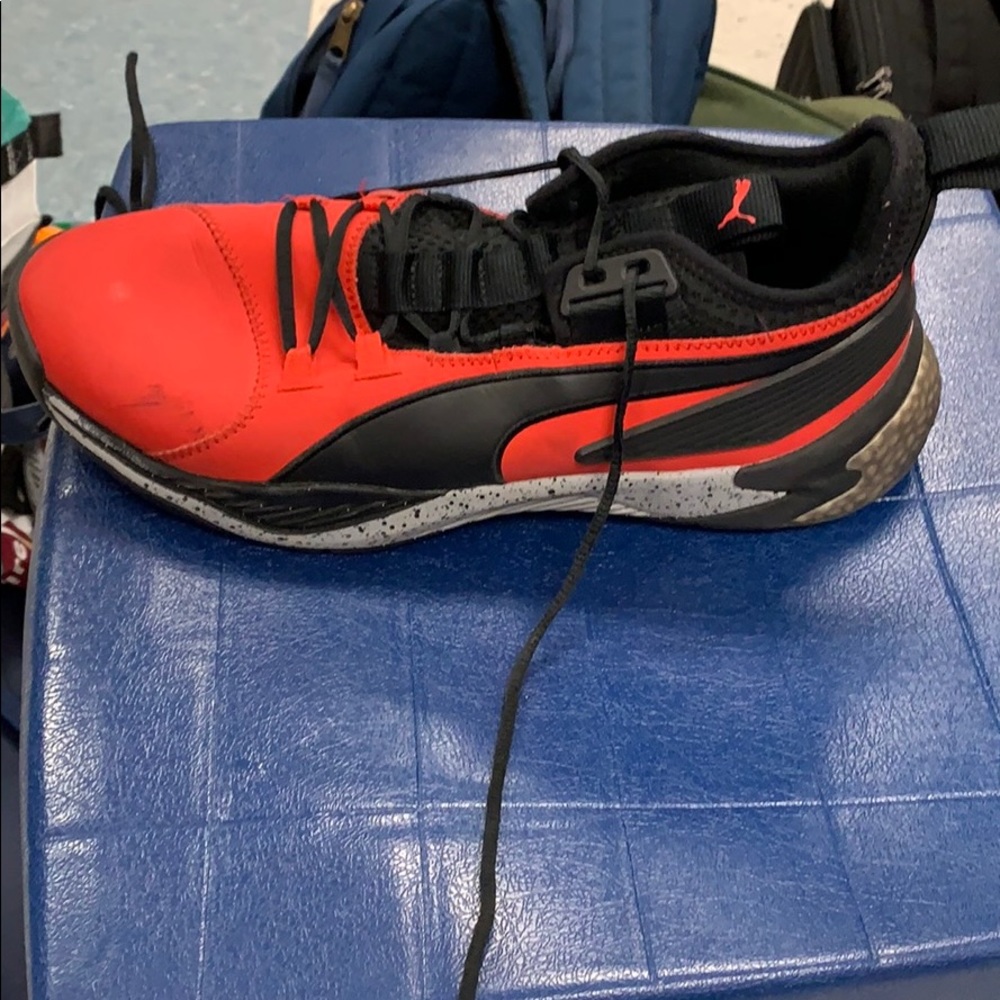 puma